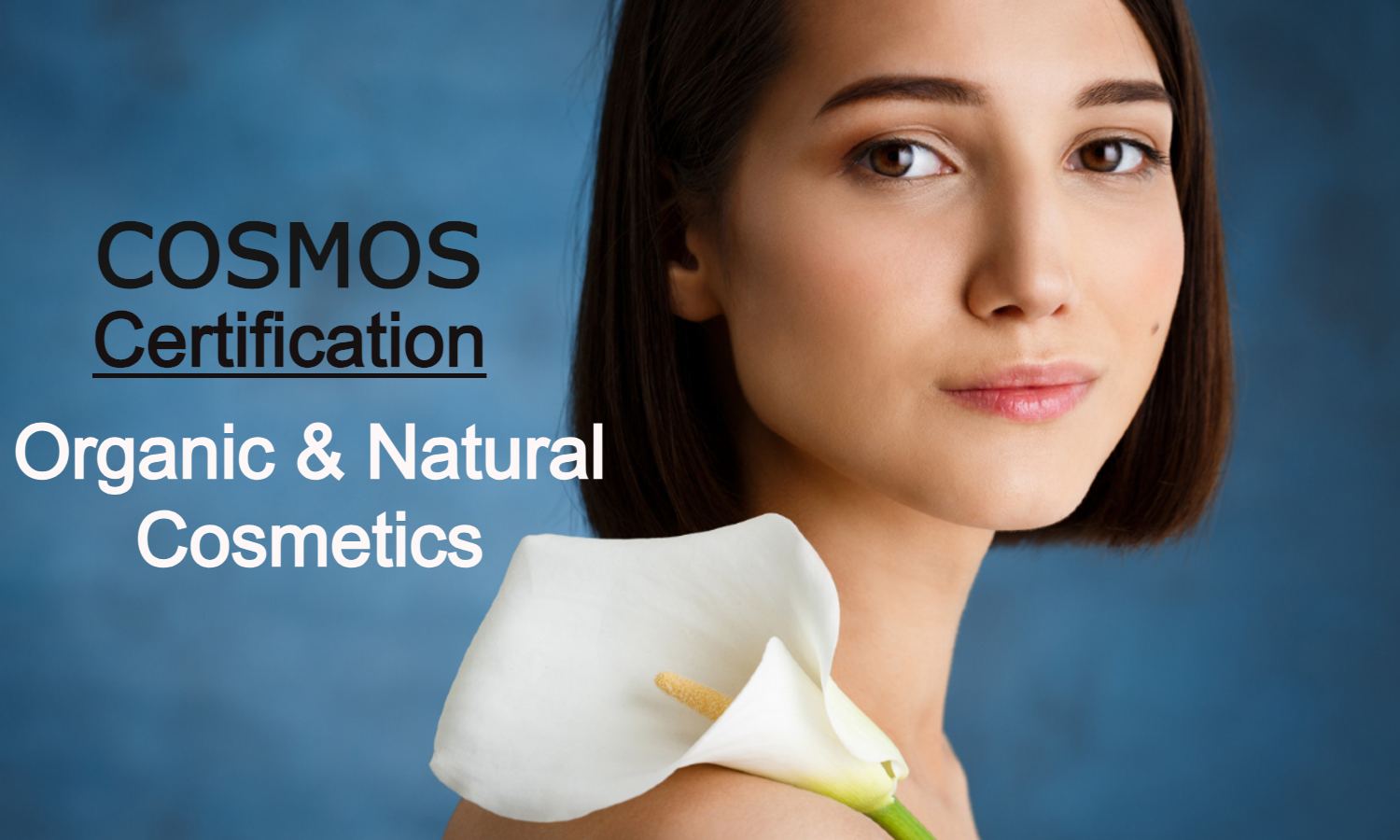 COSMOS Compliance Made Easy: Accelerate Organic And Natural Certifications For Your Cosmetic Products